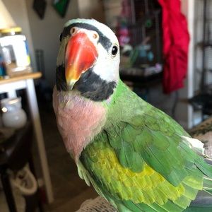 Meet your Posher, Christine